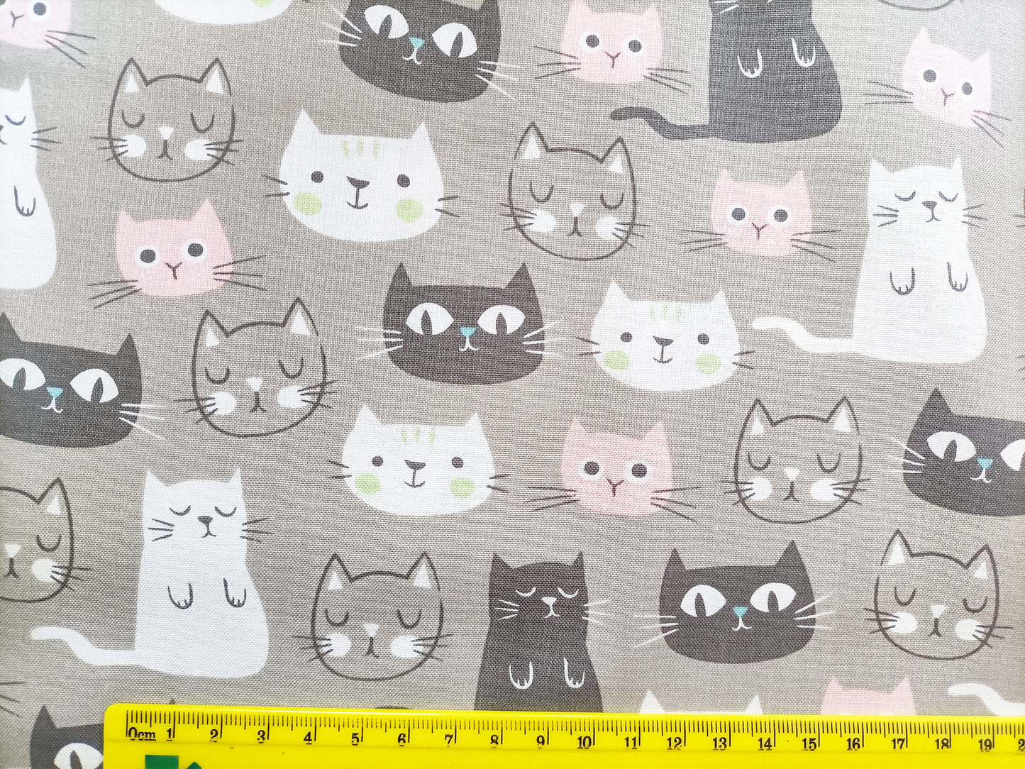Fat Quarter - Purrfect Day Cats on Grey - My Mind's Eye - Riley Blake - Cotton Fabric