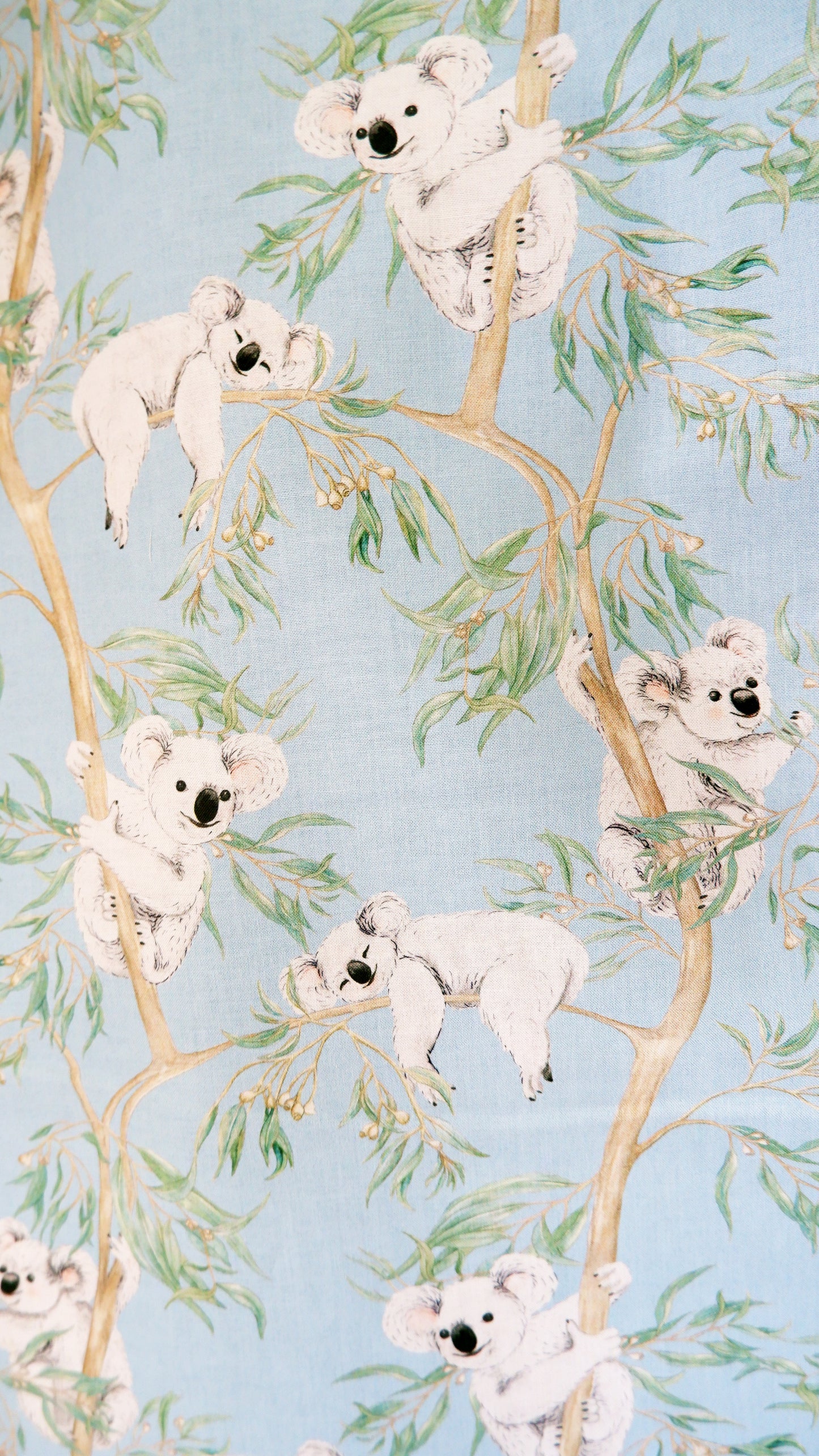 Cotton Fabric - Gumtree friends - Koalas on Blue - Michelle Holik
