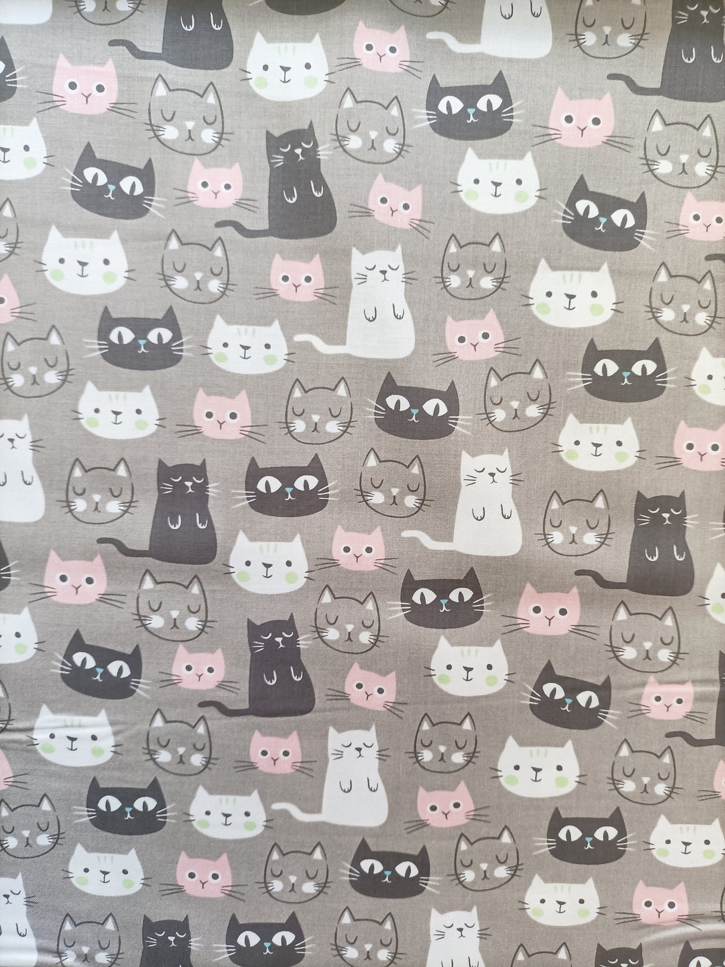 Cotton Fabric - Purrfect Day Cats on Grey - My Mind's Eye - Riley Blake