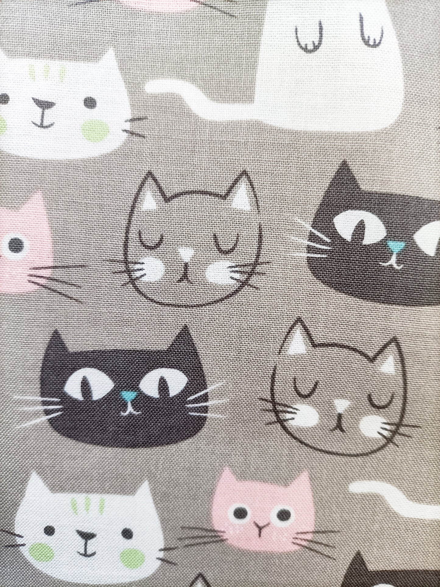 Cotton Fabric - Purrfect Day Cats on Grey - My Mind's Eye - Riley Blake