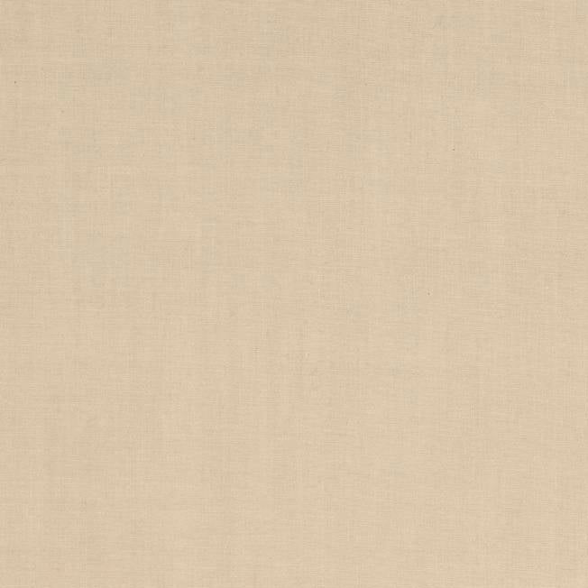 Taupe poplin colour